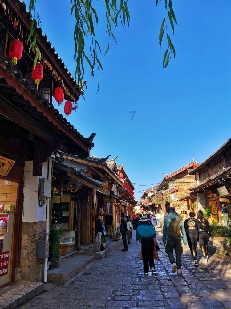 逃离鱼店